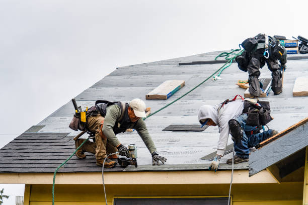 Professional Roofing technician working in Mercedes, TX